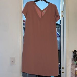 Nude Never Worn Dress